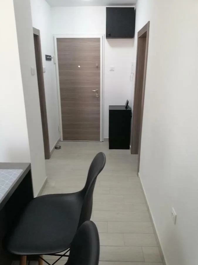 Studio Apartment Mila Пула